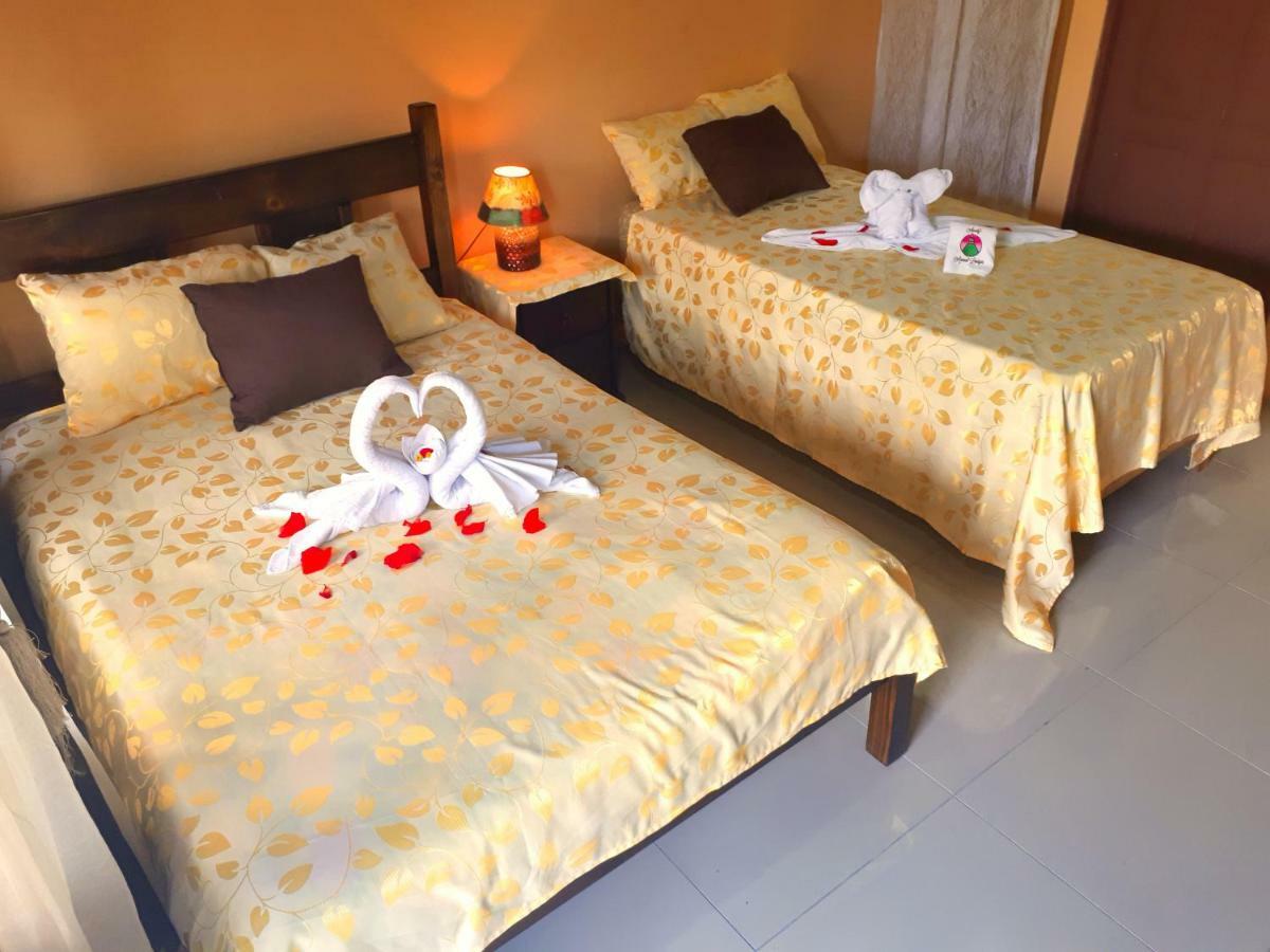Aunty Arenal Lodge La Fortuna Room photo