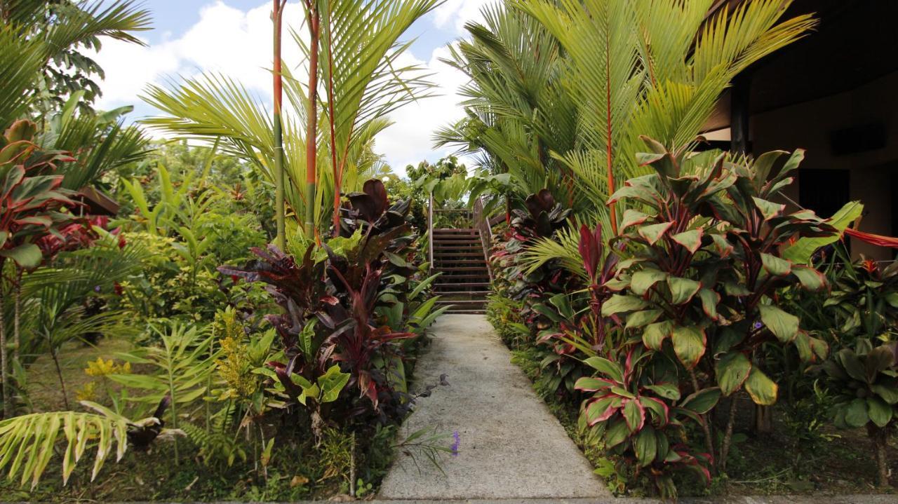 Aunty Arenal Lodge La Fortuna Exterior photo